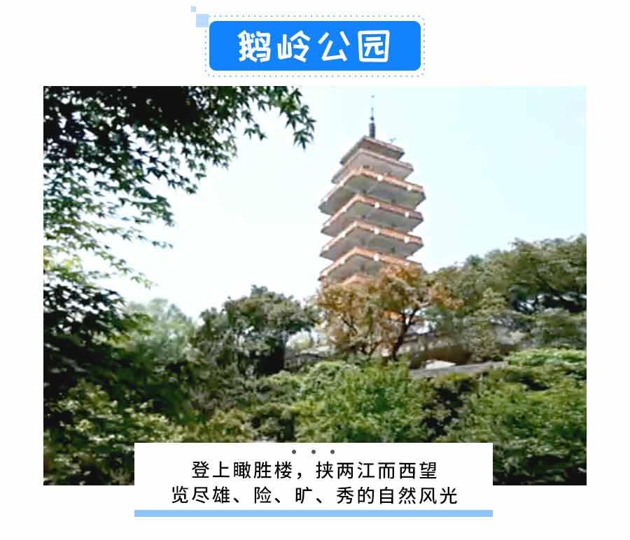 重庆旅游市内一日游线路景点：鹅岭公园