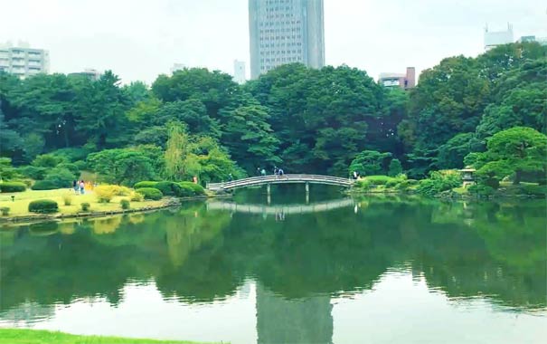 日本旅游：新宿御苑