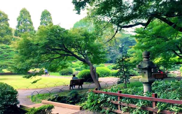 日本旅游：新宿御苑