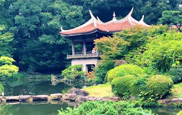 日本旅游：新宿御苑
