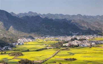 兴义万峰林油菜花-重庆到罗平油菜花旅游线路