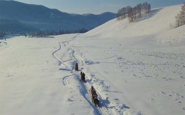 冬天旅游：新疆雪中马拉爬犁