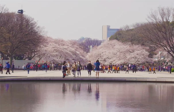 日本旅游：东京上野公园