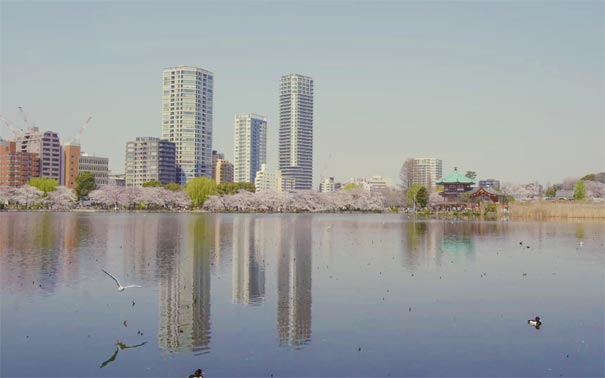 日本旅游：东京上野公园不忍池