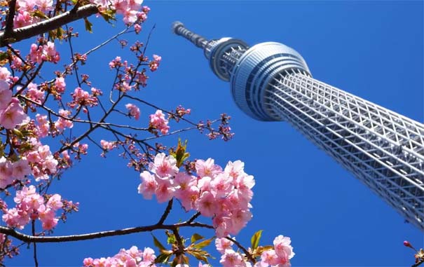 日本旅游：东京晴空塔