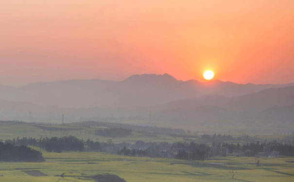 云南春节旅游：罗平油菜花基地夕阳