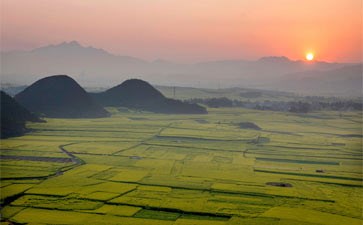 罗平油菜花旅游-重庆春节自驾旅游-重庆旅行社