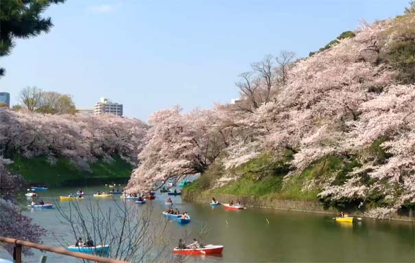 日本旅游：皇居外苑