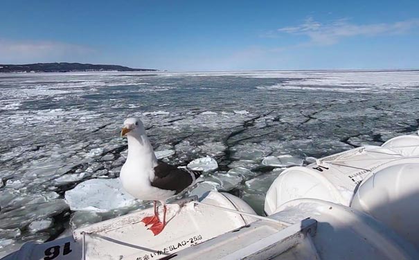 日本北海道旅游：北海道网走赏流冰