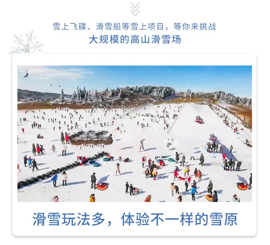 冬季武隆仙女山冰雪旅游一日游仙女山雪景2-重庆旅行社