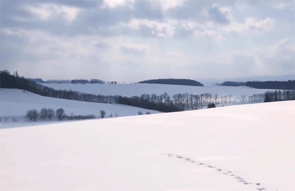 日本北海道旅游：富良野冬季雪景