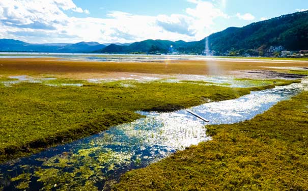 云南丽江旅游：拉市海