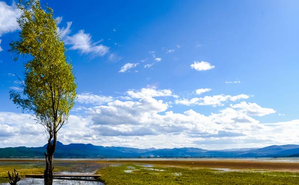 丽江旅游景点：拉市海湿地公园