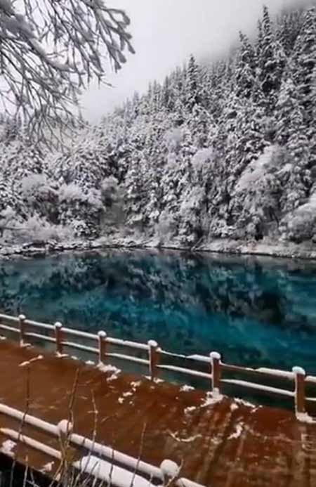 春节自驾旅游：九寨沟雪景