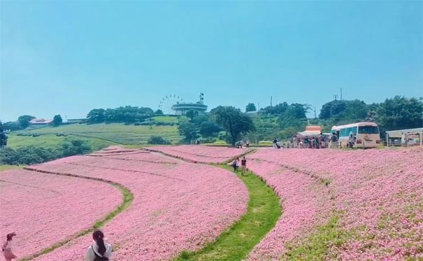 日本东京周边亲子游：千叶县母亲牧场