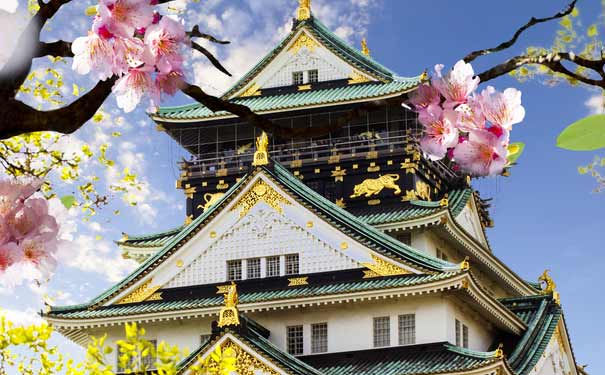 日本旅游景点：大阪城公园春季樱花