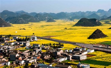 罗平油菜花旅游-重庆青年旅行社