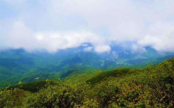 贵州旅游：雷公山云海