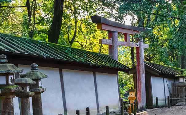 日本旅游：奈良春日大社