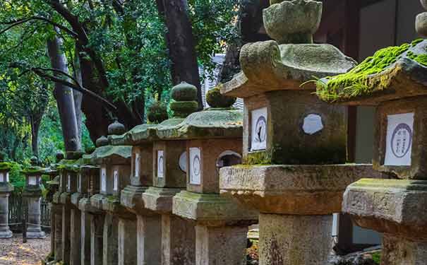 日本旅游：奈良春日大社石灯笼