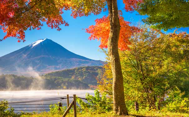 日本旅游：富士山河口湖秋季枫叶