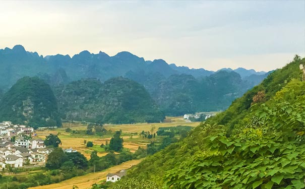 贵州旅游景点：万峰林