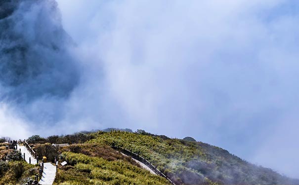 贵州旅游景点：梵净山云海