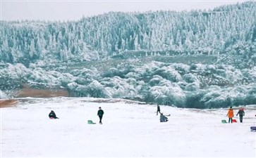 武隆仙女山冰雪旅游-重庆周边二日游-重庆中青旅