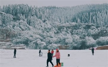 武隆仙女山冰雪旅游-重庆周边二日游-重庆中青旅