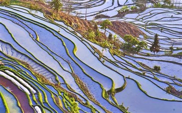 云南元阳梯田旅游-云南旅游价格-重庆旅行社