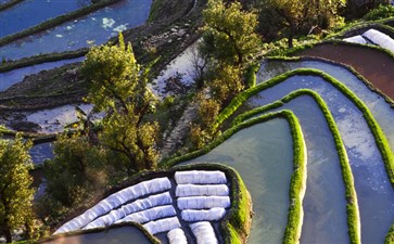 云南元阳梯田旅游-云南旅游价格-重庆旅行社