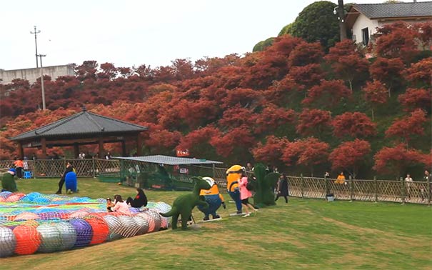 重庆赏花好去处：南湖畔多彩植物园