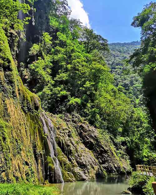 春季重庆赏花地图：万盛黑山谷