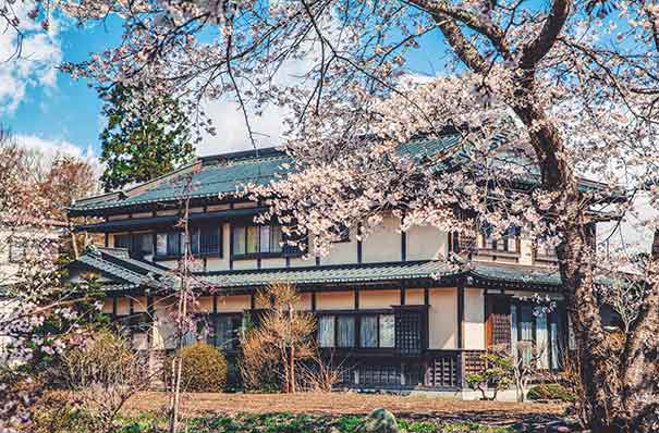 日本旅游京都赏樱地推荐：涉城园