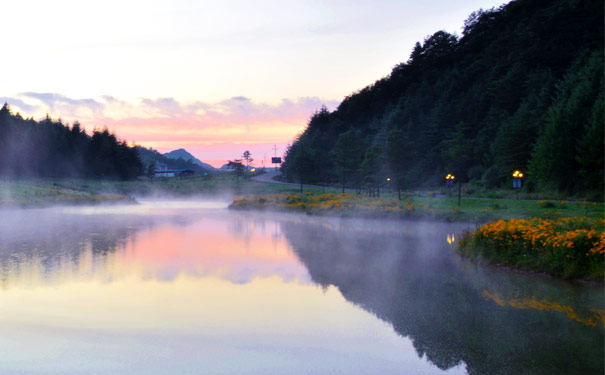 巫溪红池坝花海