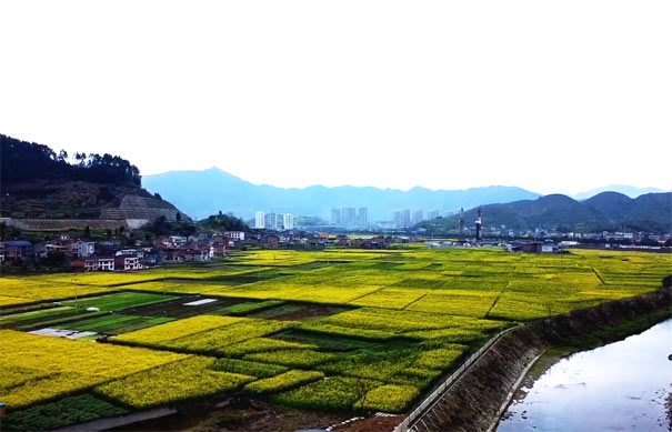 南川北固油菜花-重庆中国青年旅行社