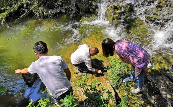 黑山谷捉螃蟹-重庆周边旅游