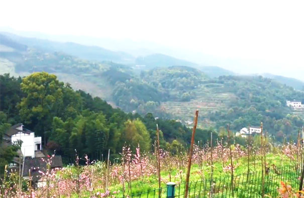 重庆周边旅游踏青：虎峰山桃花