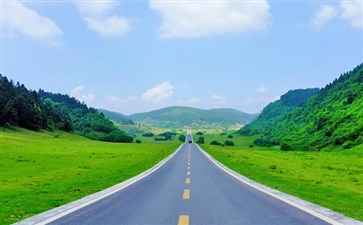 武隆旅游景点仙女山大草原-重庆武隆一日游