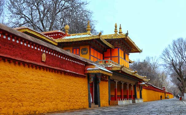 西藏旅游景点：罗布林卡(人民公园)冬季