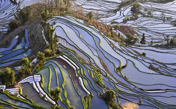 元阳梯田