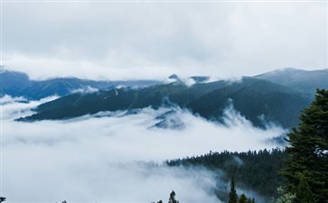 鲁朗林海-重庆青年旅行社