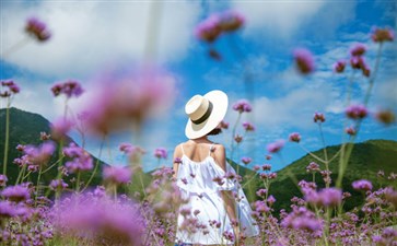 川主寺薰衣草田-重庆青年旅行社