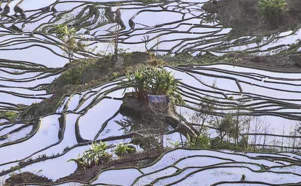 云南旅游：元阳梯田