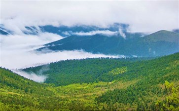 鲁朗林海