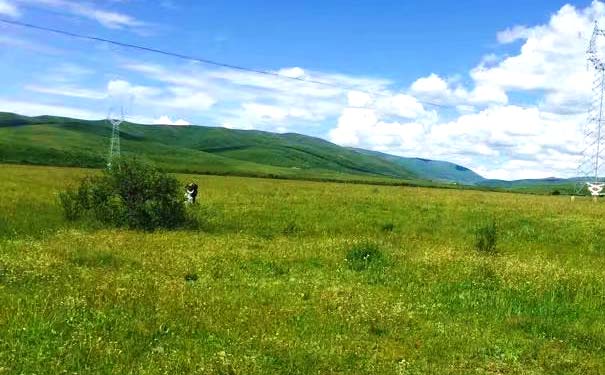 若尔盖旅游：若尔盖大草原