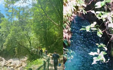 重庆金刀峡步道-重庆旅行社