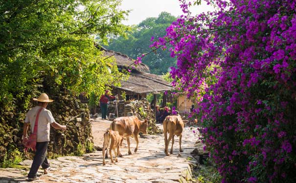 云南旅游古镇推荐：翁丁古寨