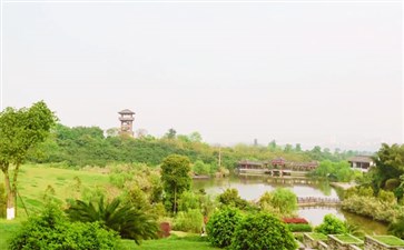泸州张坝百年桂圆林-重庆青年旅行社