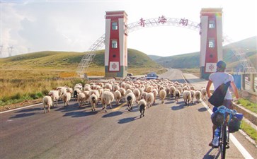 青海青海湖骑行-重庆旅行社